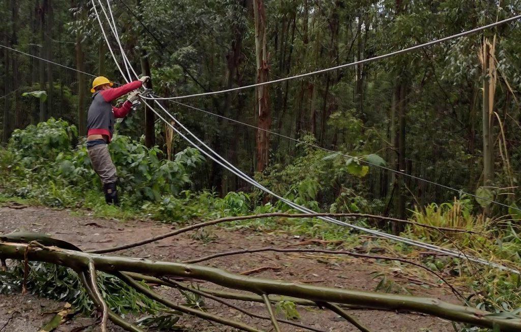 Vento forte e quedas de árvores causam falta de energia em Seara e