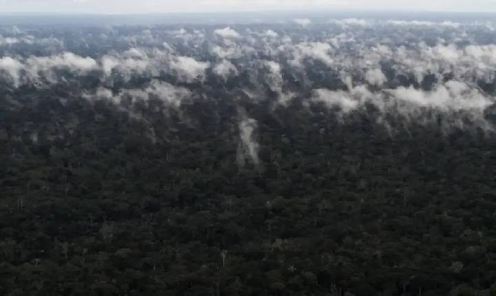 Emissão de gases do efeito estufa por queimadas na Amazônia cresce 60%