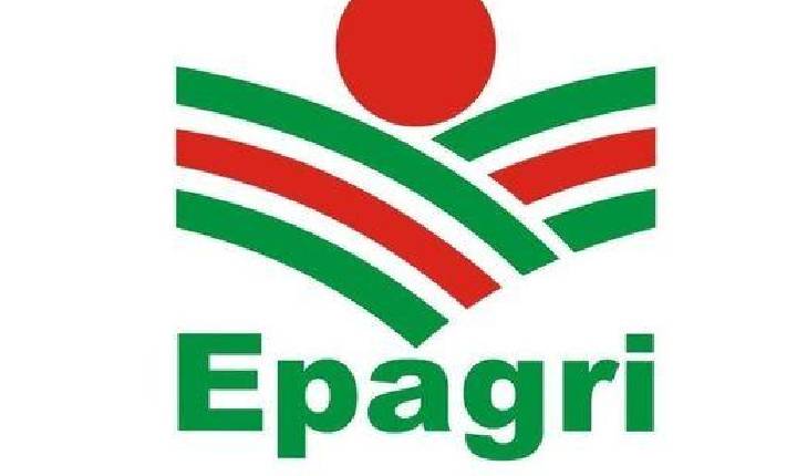 Epagri aumenta investimentos no Extremo Oeste e já projeta 2025 com novidades