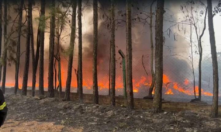 Incêndio de grandes proporções bloqueia rodovia próximo a Chapecó