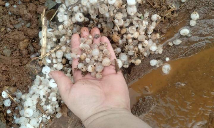 Moradores do interior de Seara e região registram chuva de granizo nesta quinta-feira