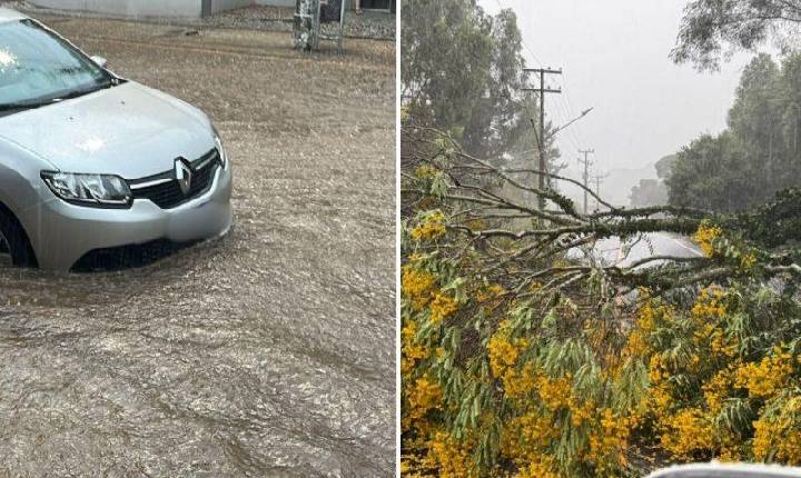 Temporal causa alagamentos e quedas de árvores em Videira