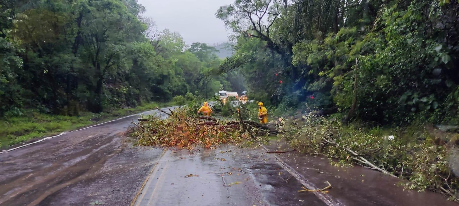 Bombeiros trabalham para desobstruir 8 pontos de bloqueio nas estradas do Oeste