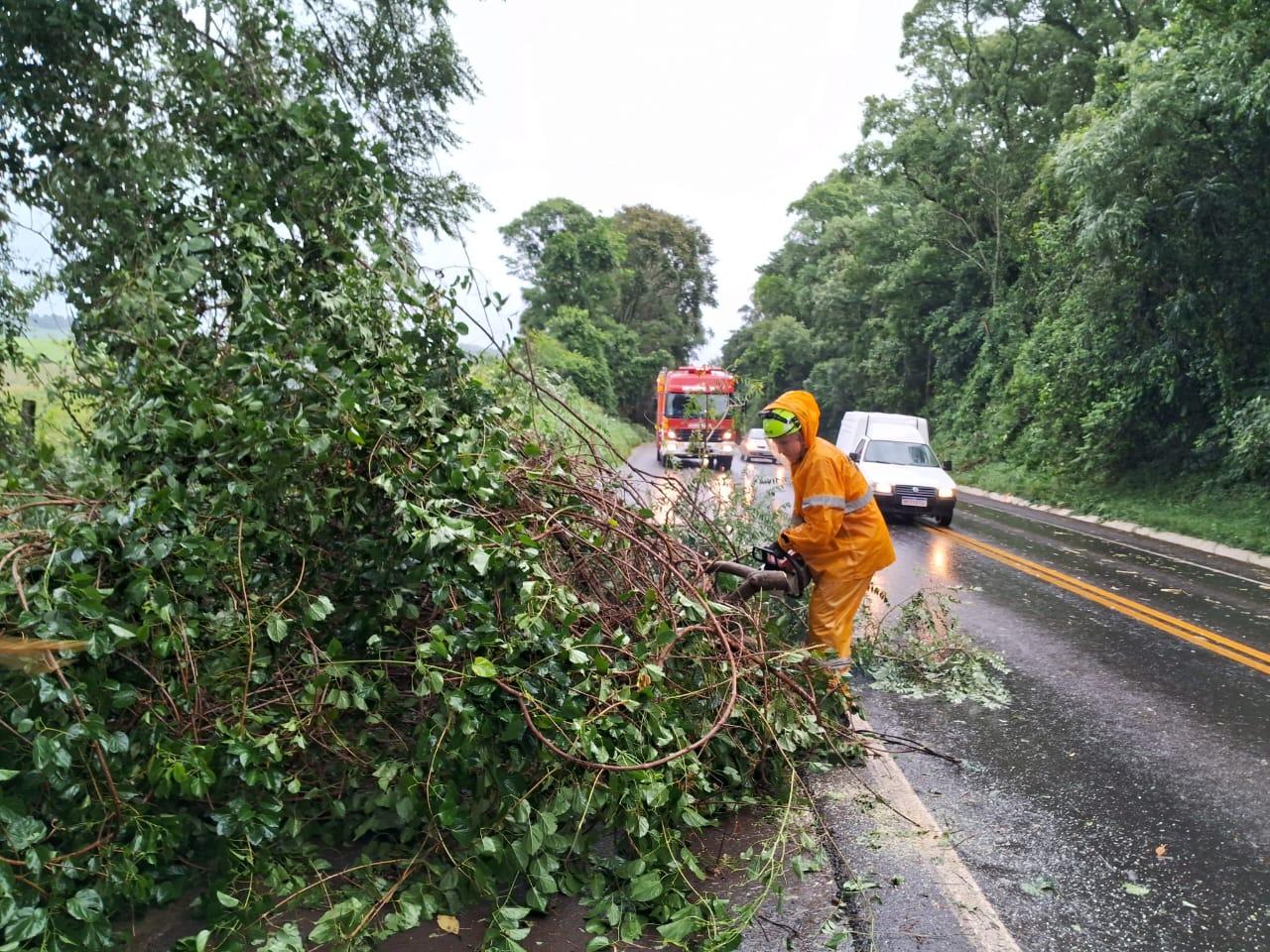 Temporal causa transtornos e Bombeiros atendem ocorrências em Chapecó e região