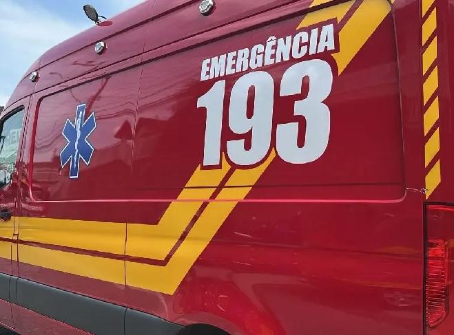 Bombeiros atendem colisão entre caminhão de suínos e caçamba em Seara