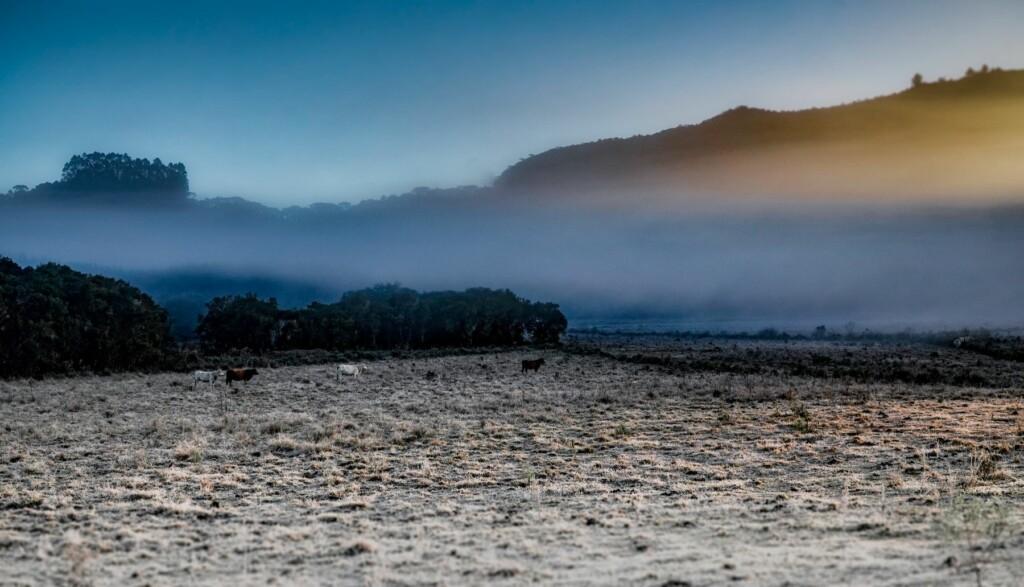 Previsão do tempo: Santa Catarina pode ter neve e chuva congelante