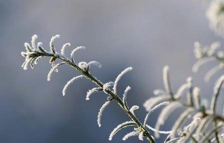 SC terá declínio acentuado de temperaturas nas próximas horas, alerta Defesa Civil