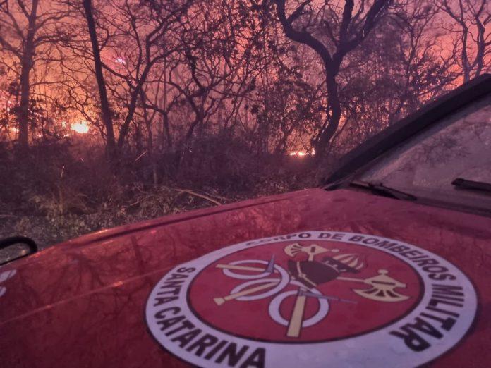 Bombeiros de Santa Catarina trabalham no combate ao fogo no Centro-Oeste