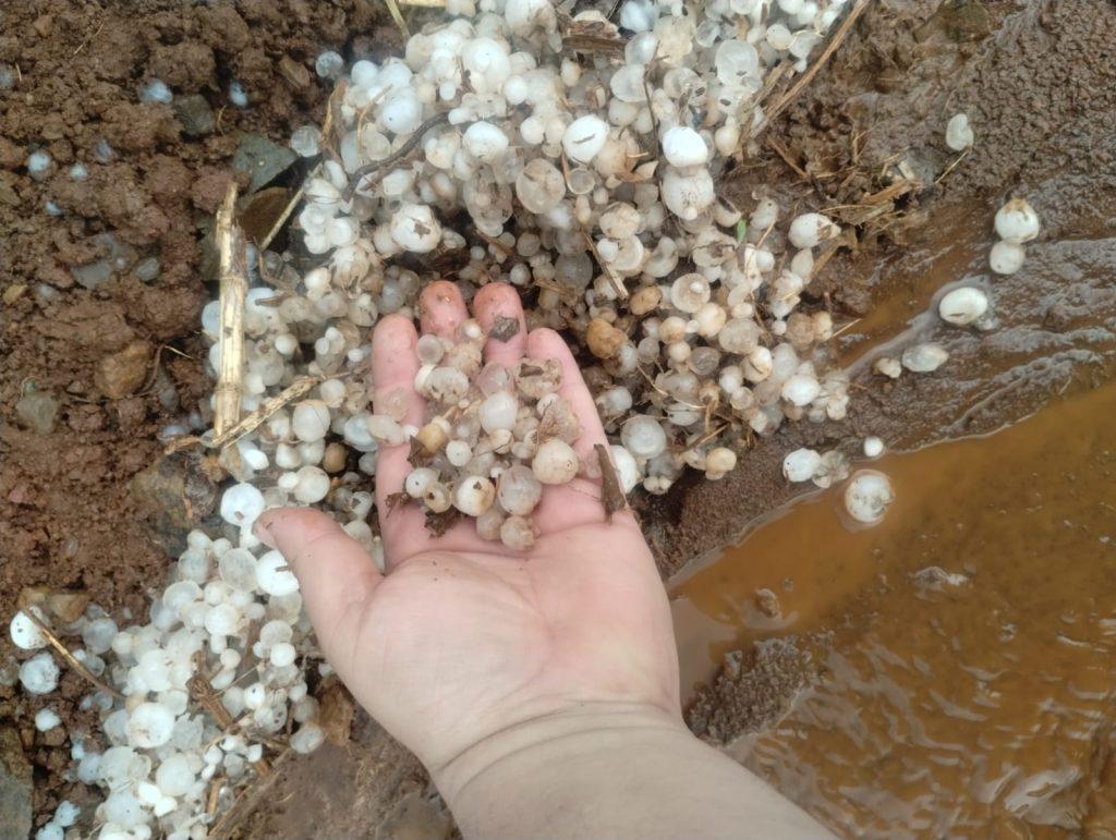 Moradores do interior de Seara e região registram chuva de granizo nesta quinta-feira