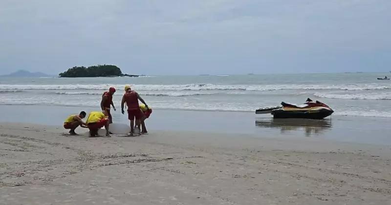 Após 5 dias de busca, corpo de menino de 10 anos é localizado em praia de SC